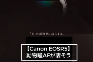 EOSR5瞳AF