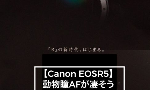 EOSR5瞳AF